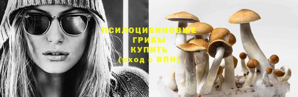 мефедрон мука Заводоуковск