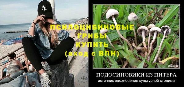 spice Заволжье